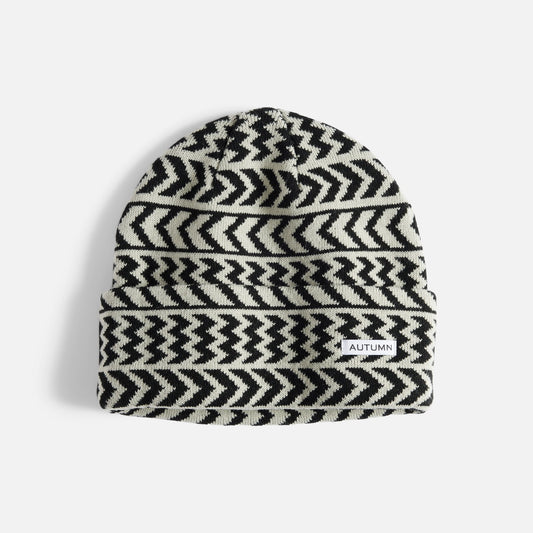 Autumn Beanie Chevron Iceburg